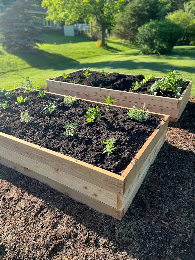 Fresh Roots Gardening and Landscaping 20