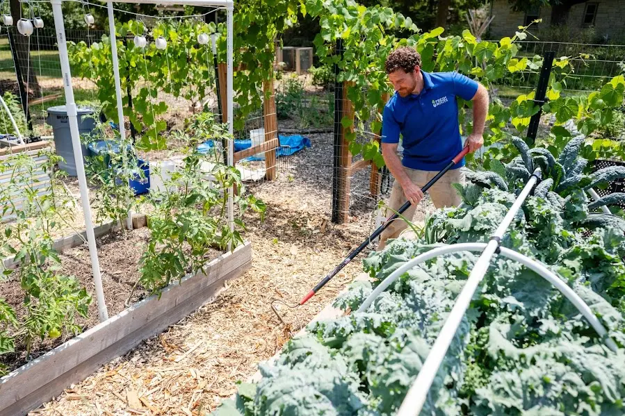 Fresh Roots Gardening and Landscaping 217