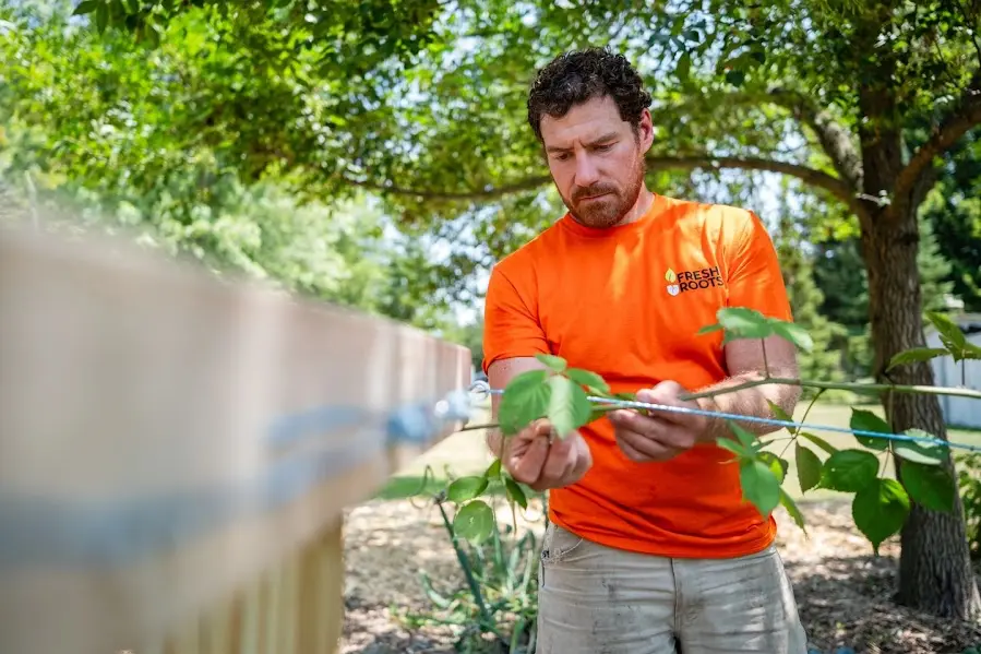 Fresh Roots Gardening and Landscaping 218