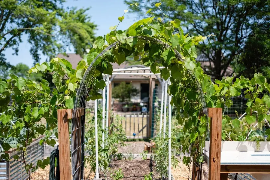 Fresh Roots Gardening and Landscaping 238